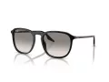 Ray-Ban RB 0RB2203 901/32 55 Occhiali da Sole