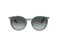 Ray-Ban RB 0RB2204 1394GK 51 Occhiali da Sole