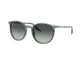 Ray-Ban RB 2204 1394GK 54 Occhiali da Sole