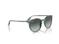 Ray-Ban RB 2204 1394GK 54 Occhiali da Sole