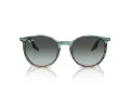 Ray-Ban RB 2204 1394GK 54 Occhiali da Sole