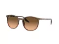 Ray-Ban RB 0RB2204 13953B 54 Occhiali da Sole