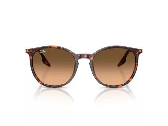 Ray-Ban RB 2204 14293B 54 Occhiali da Sole