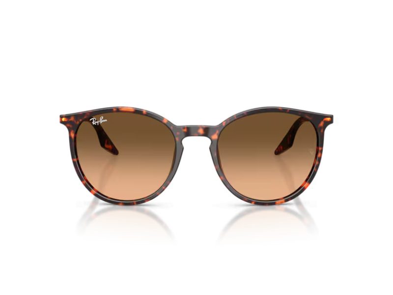 Ray-Ban RB 2204 14293B 54 Occhiali da Sole