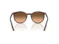 Ray-Ban RB 2204 14293B 54 Occhiali da Sole