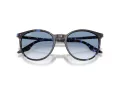 Ray-Ban RB 2204 14303F 51 Occhiali da Sole