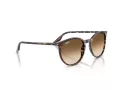 Ray-Ban RB 2204 143151 51 Occhiali da Sole