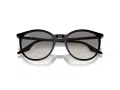 Ray-Ban RB 0RB2204 901/32 54 Occhiali da Sole