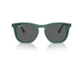 Ray-Ban RB 2210 6615B1 53 Occhiali da Sole