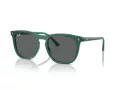 Ray-Ban RB 2210 6615B1 53 Occhiali da Sole