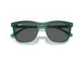 Ray-Ban RB 2210 6615B1 53 Occhiali da Sole