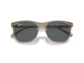 Ray-Ban RB 2210 6765R5 53 Occhiali da Sole