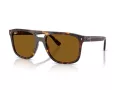 Ray-Ban RB 2213 902/33 55 Occhiali da Sole