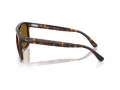 Ray-Ban RB 2213 902/33 55 Occhiali da Sole