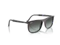 Ray-Ban RB 2216 1430GK 58 Occhiali da Sole