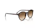 Ray-Ban Bernard RB 2230 902/51 51 Occhiali da Sole