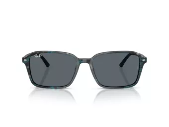 Ray-Ban Raimond RB 2231 1417R5 58 Occhiali da Sole