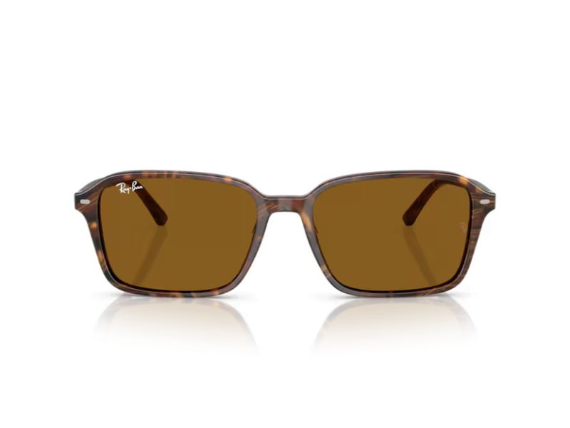 Ray-Ban Raimond RB 2231 141833 56 Occhiali da Sole