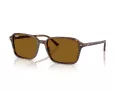 Ray-Ban Raimond RB 2231 141833 56 Occhiali da Sole
