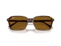 Ray-Ban Raimond RB 2231 141833 58 Occhiali da Sole