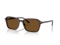 Ray-Ban Raimond RB 2231 902/57 56 Occhiali da Sole