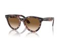 Ray-Ban Wayfarer Way RB 2241 133451 51 Occhiali da Sole