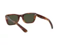 Ray-Ban Caribbean RB 2248 954/31 52 Occhiali da Sole