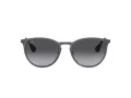 Ray-Ban Erika Metal RB 3539 192/8G 54 Occhiali da Sole