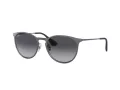 Ray-Ban Erika Metal RB 3539 192/8G 54 Occhiali da Sole