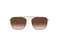 Ray-Ban RB 3588 9055/13 55 Occhiali da Sole
