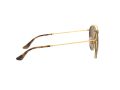 Ray-Ban RB 3647N 001/57 51 Occhiali da Sole