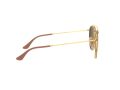 Ray-Ban RB 3647N 001/7O 51 Occhiali da Sole