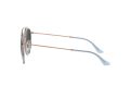 Ray-Ban RB 3647N 9067/71 51 Occhiali da Sole