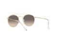 Ray-Ban 3647N 923632 51 Occhiali da Sole