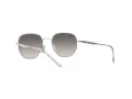Ray-Ban RB 3682 003/11 51 Occhiali da Sole