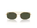 Ray-Ban RB 0RB3719 001/31 54 Occhiali da Sole