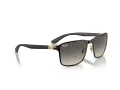 Ray-Ban RB 0RB3721 187/11 59 Occhiali da Sole