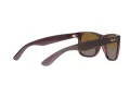 Ray-Ban Justin RB 4165 6597/T5 51 Occhiali da Sole