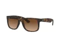 Ray-Ban Justin RB 4165 710/13 55 Occhiali da Sole