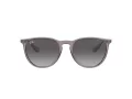 Ray-Ban Erika RB 4171 6513/8G 54 Occhiali da Sole