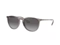 Ray-Ban Erika RB 4171 6513/8G 54 Occhiali da Sole