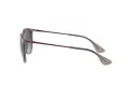 Ray-Ban Erika RB 4171 6513/8G 54 Occhiali da Sole