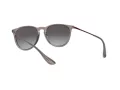 Ray-Ban Erika RB 4171 6513/8G 54 Occhiali da Sole