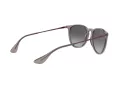 Ray-Ban Erika RB 4171 6513/8G 54 Occhiali da Sole