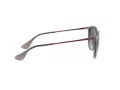 Ray-Ban Erika RB 4171 6513/8G 54 Occhiali da Sole
