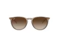 Ray-Ban Erika RB 4171 674413 54 Occhiali da Sole