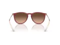 Ray-Ban Erika RB 4171 6815A5 54 Occhiali da Sole