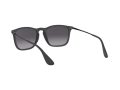Ray-Ban Chris 4187 622/8G 54 Occhiali da Sole