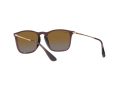 Ray-Ban Chris RB 4187 6593/T5 54 Occhiali da Sole