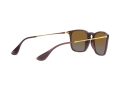 Ray-Ban Chris RB 4187 6593/T5 54 Occhiali da Sole